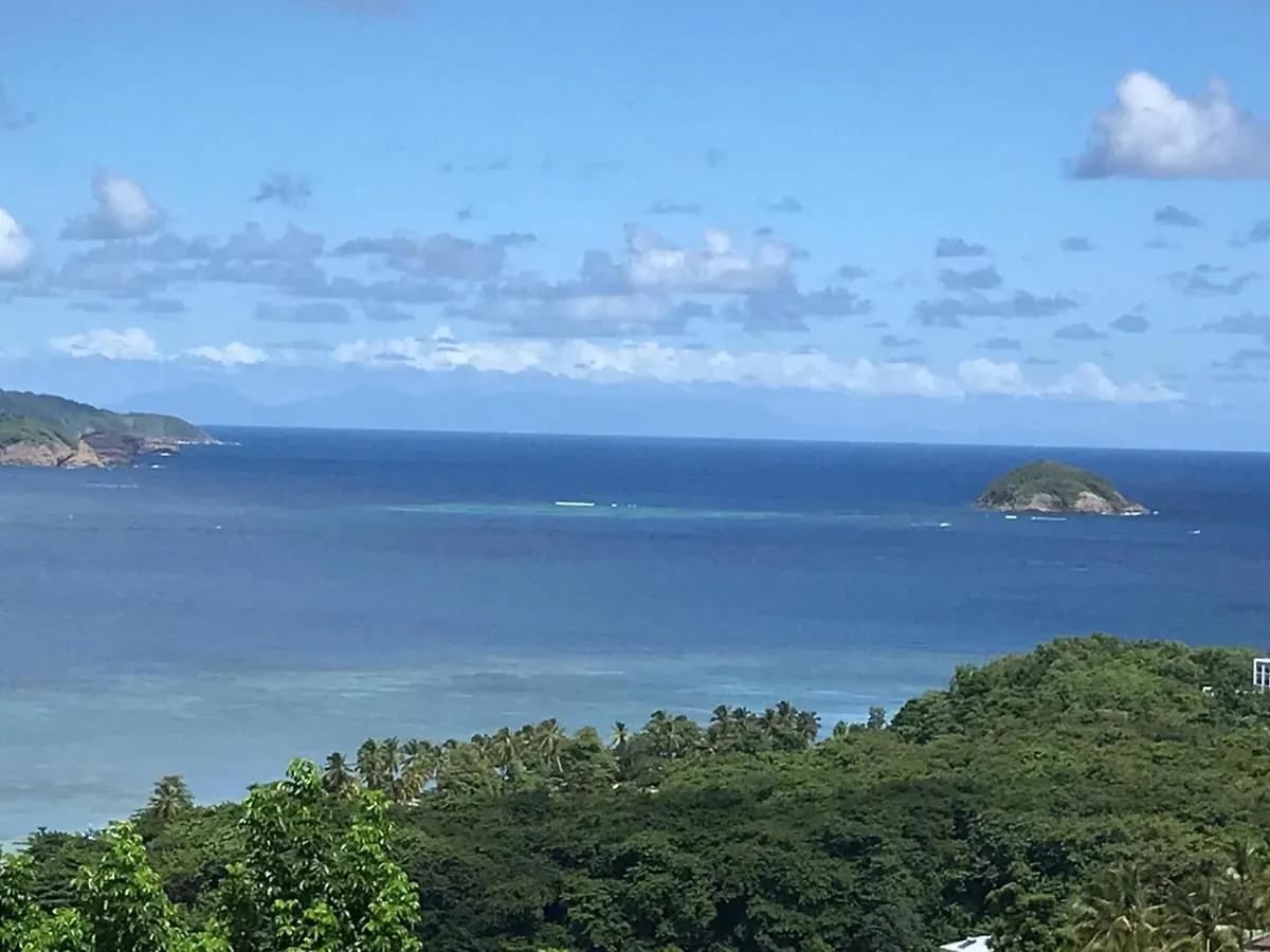 Top Hill Hostel- Martinique- Auberge Dortoir 拉特里尼泰
