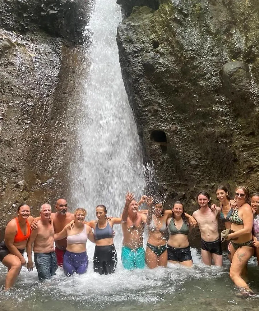 Top Hill Hostel- Martinique- Auberge Dortoir 拉特里尼泰 马提尼克